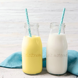 Le colostrum et le premier lait