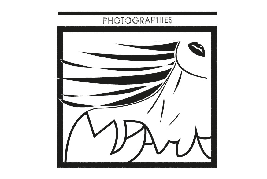 Patrick Meurice Photographe